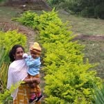 Vinutha Chethan Kumar - @vinuthachethankumar - Instagram