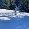 Vio Moldovan - @viomoldovan - TikTok