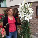 Viorica Moldovan - @viorica.moldovan.5074 - Instagram