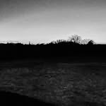 Vix💜 - @aragonaviola - Instagram