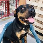 Luis Jose Arias Viola - @ariasluisjose - Instagram