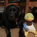 Viola Barnes - Facebook