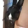violabeaale - @violabeaale - TikTok