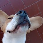 Viola Beltrami - @beltrami.viola - Instagram