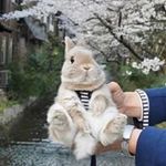Viola Brown - @viola.brown.733076 - Instagram