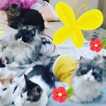 Viola Castro Carino - @violy55 - Instagram