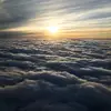 violaclayton129 - @violaclayton129 - TikTok