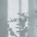 Viola 🍪 - @viola_cookies003 - Instagram
