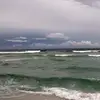 Viola - @violacook47 - TikTok