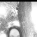 Viola David - Facebook