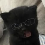 thrift_me - @viol_adennis - Instagram