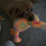 Viola Devine - @v_devine2003 - Instagram