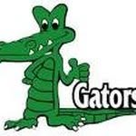 Viola Gibson Elementary School - @violagibsongators - Instagram