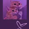 Viola Haley - @violahaley2 - TikTok