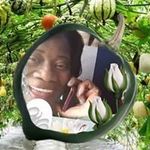 violaharrison - @violaharrison8833 - Instagram