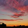 Olivia Hendrickson - @olivia.hendrickson.spam - TikTok