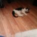 Viola Henson - Facebook