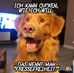 Viola Herbert - Facebook