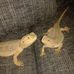 Viola Hoffmann - Facebook