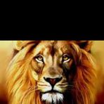 Viola Holley - Facebook
