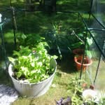Viola Holm - @viols_holm - Instagram