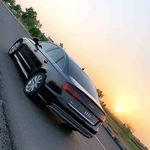 Viola Holman - @violaholman42 - Instagram