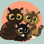 Cacau & Viola & Hope - @cacaueviola - Instagram
