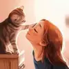 Viola House - @viola.house0 - TikTok