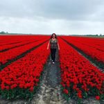 Viola Jansen - @violasaartje - Instagram