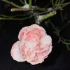 Viola Jansen - @hexeviola - TikTok