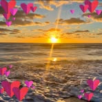 Viola Jansen - Facebook