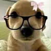 🐻🦋🐶Faviola🐶🦋🐻 - @faviola.jimenez02 - TikTok
