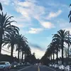 Viola Allegra Jost - @viola__allegra - TikTok