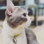 Viola Lam - @violalam67 - Instagram
