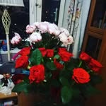 Viola Lewis - @violalewis981 - Instagram