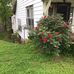 Viola Marshall - Facebook