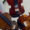 tommyviolapage - @tommyviolapage - TikTok