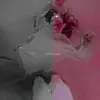 VIO👾 - @violas.page - TikTok