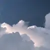 penny_faviola - @penny_faviola - TikTok