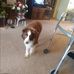 Viola Porter - Facebook