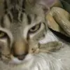 violet.powers - @violet.powers - TikTok