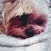 Vi Pugh - Facebook