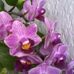 Viola Reece - Facebook