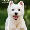 viola - @violamahreece - TikTok
