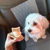 Violet Rice - @violet.rice7 - TikTok