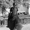 Viola. Riders 🐴🐎 - @viola.riders - TikTok
