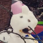 Viola R - @viola.ringberg - Instagram