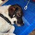 Viola Maria Rizzo - Facebook
