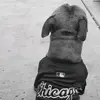 Faviola Montoya - @faviola.rojas - TikTok