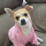 viola romano - @viola_romano_73 - Instagram